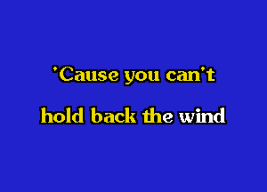 'Cause you can't

hold back the wind