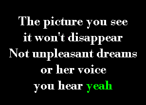 The picture you see
it won't disappear
Not unpleasant dreams
or her voice

you hear yeah
