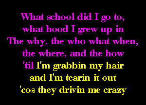 What school did I go to,
What hood I grew up in
The Why, the Who What when,
the Where, and the how
'til I'm grabbin my hair
and I'm tearin it out
'cos they drivin me crazy