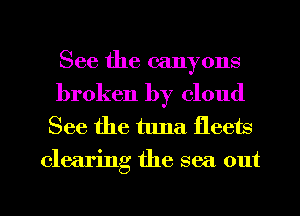 See the canyons
broken by cloud

See the tuna fleets
clearing the sea out

g