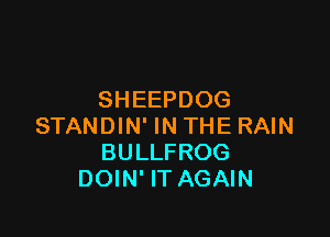 SHEEPDOG

STANDIN' IN THE RAIN
BULLFROG
DOIN' IT AGAIN