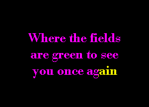 Where the fields

are green to see

you once again