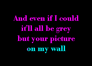 And even if I could
it'll all be grey
but your picture

on my wall