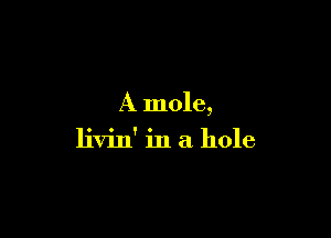 A mole,

livin' in a hole