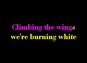 Climbing the Wings

we're burning White