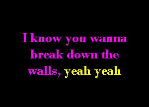 I know you wanna

break down the
walls, yeah yeah