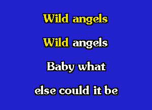 Wild angels

Wild angels

Baby what

else could it be