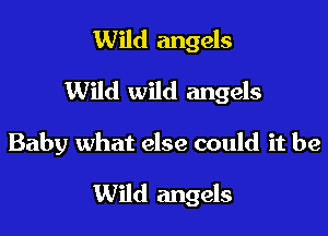 Wild angels
Wild wild angels

Baby what else could it be

Wild angels