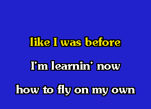 like I was before

I'm leamin' now

how to fly on my own