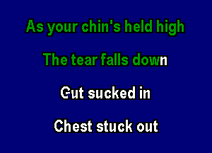 As your chin's held high

The tear falls down

Gut sucked in