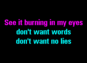 See it burning in my eyes

don't want words
don't want no lies