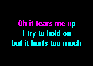 Oh it tears me up

I try to hold on
but it hurts too much