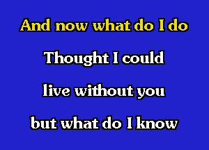 And now what do I do
Thought I could
live without you

but what do I know