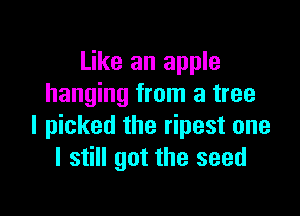 Like an apple
hanging from a tree

I picked the ripest one
I still got the seed