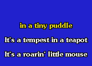 in a tiny puddle
It's a tempest in a teapot

It's a roarin' little mouse