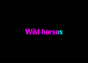 Wild horses