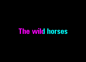 The wild horses