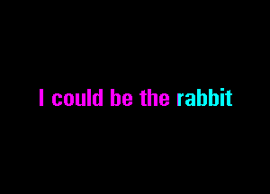 I could be the rabbit