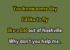 You know some day
I'd like to fly

like a bat out of Nashville

Why don't you help me..