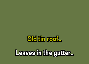 Old tin roof..

Leaves in the gutter..