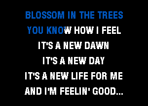 BLOSSOM IN THE TREES
YOU KNOW HOWI FEEL
IT'S A NEW DAWN
IT'S A NEW DAY
IT'S A NEW LIFE FOR ME

AND I'M FEELIH' GOOD... I