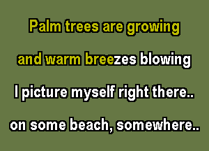 Palm trees are growing
and warm breezes blowing
l picture myself right there..

on some beach, somewhere..