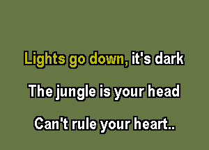 Lights 90 down, it's dark

Thejungle is your head

Can't rule your heart.