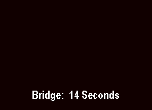Bridget 14 Seconds
