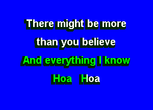 There might be more

than you believe

And everything I know

Hoa Hoa