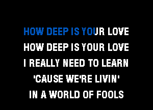 HEMP.l DEEP IS YOUR LOVE
HOW DEEP IS YOUR LOVE
I REALLY NEED TO LEARN
'CAUSE WE'RE LWIH'
IN A WORLD OF FOOLS