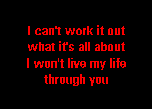 I can't work it out
what it's all about

I won't live my life
through you