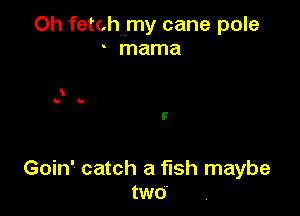 Oh fetch-my cane pole
mama

Goin' catch a fish maybe
two