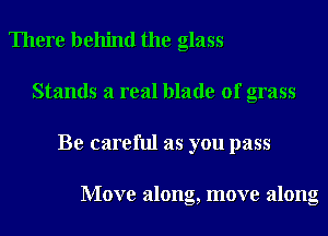 There behind the glass
Stands 3 real blade of grass
Be careful as you pass

Move along, move along