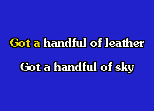 Got a handful of leather

Got a handful of sky