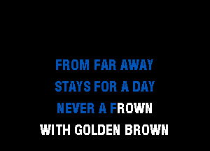 FROM FAR AWAY

STAYS FOR A DAY
NEVER A FROWH
WITH GOLDEN BROWN