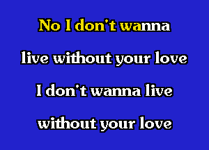 No I don't wanna
live without your love
I don't wanna live

without your love