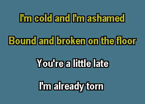 I'm cold and I'm ashamed
Bound and broken on the floor

You're a little late

I'm already torn