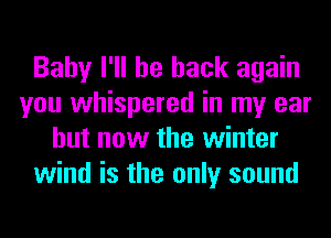 Baby I'll be back again
you whispered in my ear
but now the winter
wind is the only sound