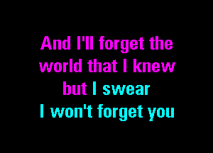 And I'll forget the
world that I knew

but I swear
I won't forget you