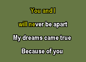 You and I
will never be apart

My dreams came true

Because of you