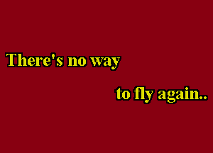 There's no way

to fly again.