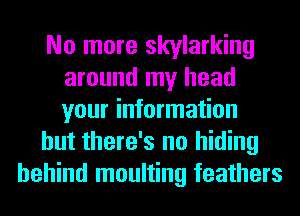 No more Skylarking
around my head
your information

but there's no hiding

behind moulting feathers