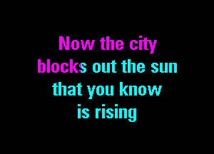 Now the city
blacks out the sun

that you know
is rising