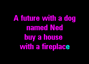 A future with a dog
named Ned

buy a house
with a fireplace