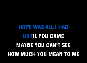 HOPE WAS ALL I HAD
UNTIL YOU CAME
MAYBE YOU CAN'T SEE
HOW MUCH YOU MEAN TO ME