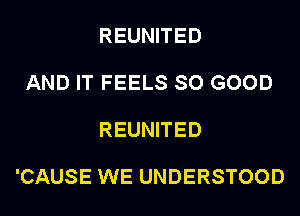 REUNITED

AND IT FEELS SO GOOD

REUNITED

'CAUSE WE UNDERSTOOD