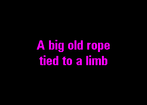 A big old rope

tied to a limb