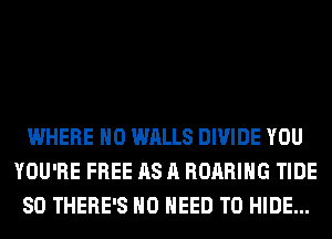 WHERE H0 WALLS DIVIDE YOU
YOU'RE FREE AS A ROARIHG TIDE
SO THERE'S NO NEED TO HIDE...