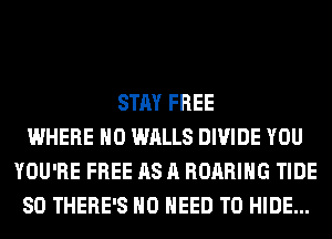 STAY FREE
WHERE H0 WALLS DIVIDE YOU
YOU'RE FREE AS A ROARIHG TIDE
SO THERE'S NO NEED TO HIDE...