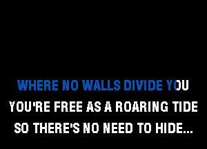 WHERE H0 WALLS DIVIDE YOU
YOU'RE FREE AS A ROARIHG TIDE
SO THERE'S NO NEED TO HIDE...